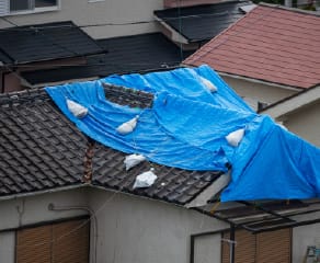 自然災害（保険・補助金）